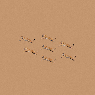 Everyday／Bialystocks