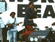 PJ with SLY & ROBBIE