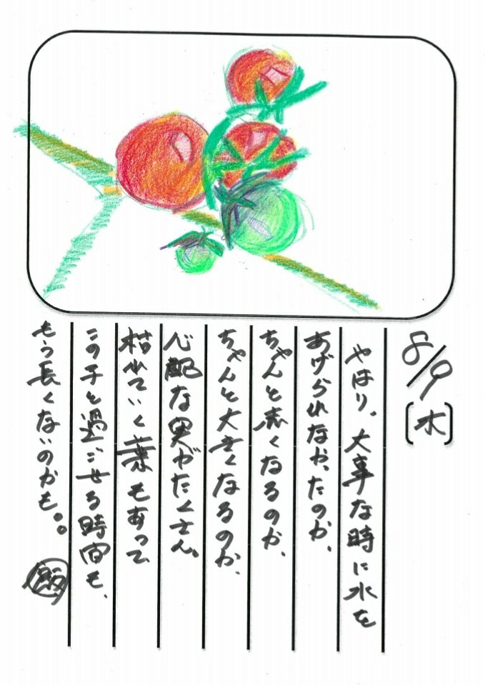 ◇ 飯室菜園日記 vol.16 ◇