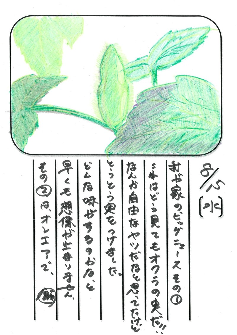 ◇ 飯室菜園日記 vol.17 ◇