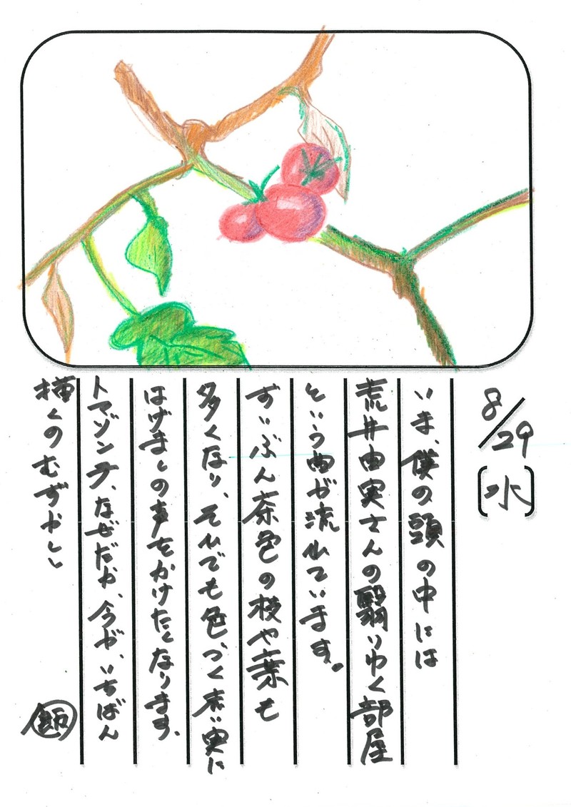 ◇ 飯室菜園日記 vol.19 ◇
