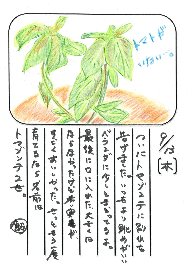 ◇ 飯室菜園日記 vol.21 ◇