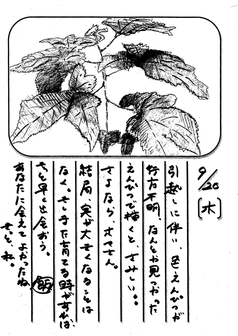 ◇ 飯室菜園日記 vol.22 ◇