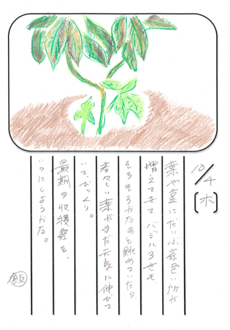 ◇ 飯室菜園日記 vol.24 ◇