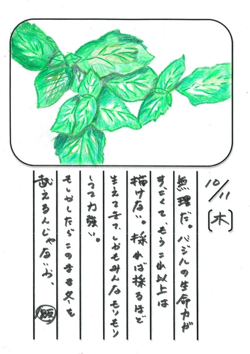 ◇ 飯室菜園日記 vol.25 ◇