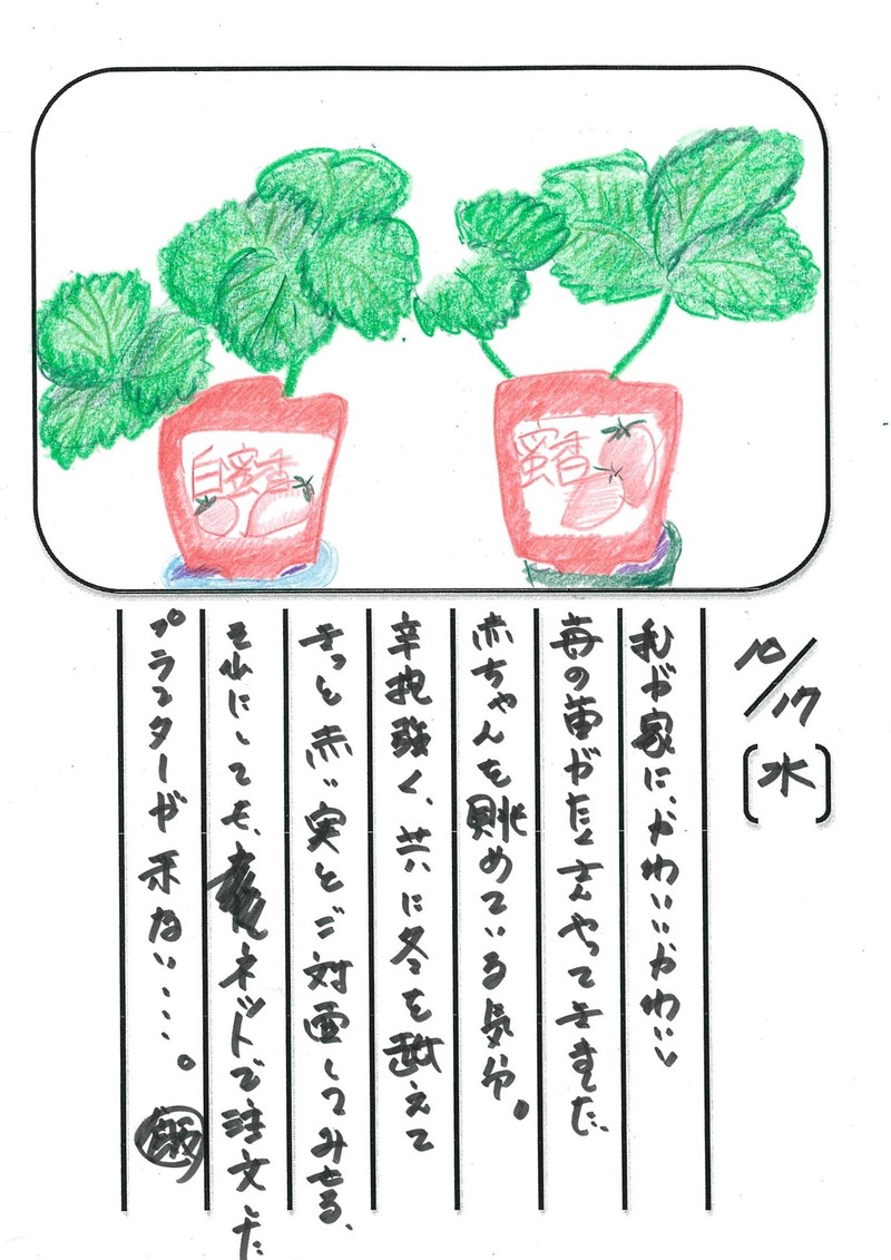 ◇ 飯室菜園日記 vol.26 ◇