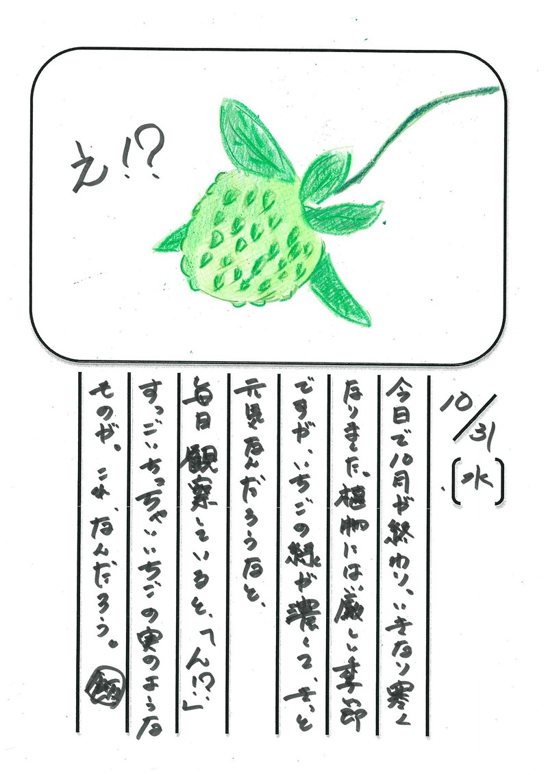◇ 飯室菜園日記 vol.28 ◇