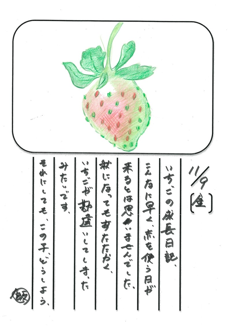 ◇ 飯室菜園日記 vol.29 ◇