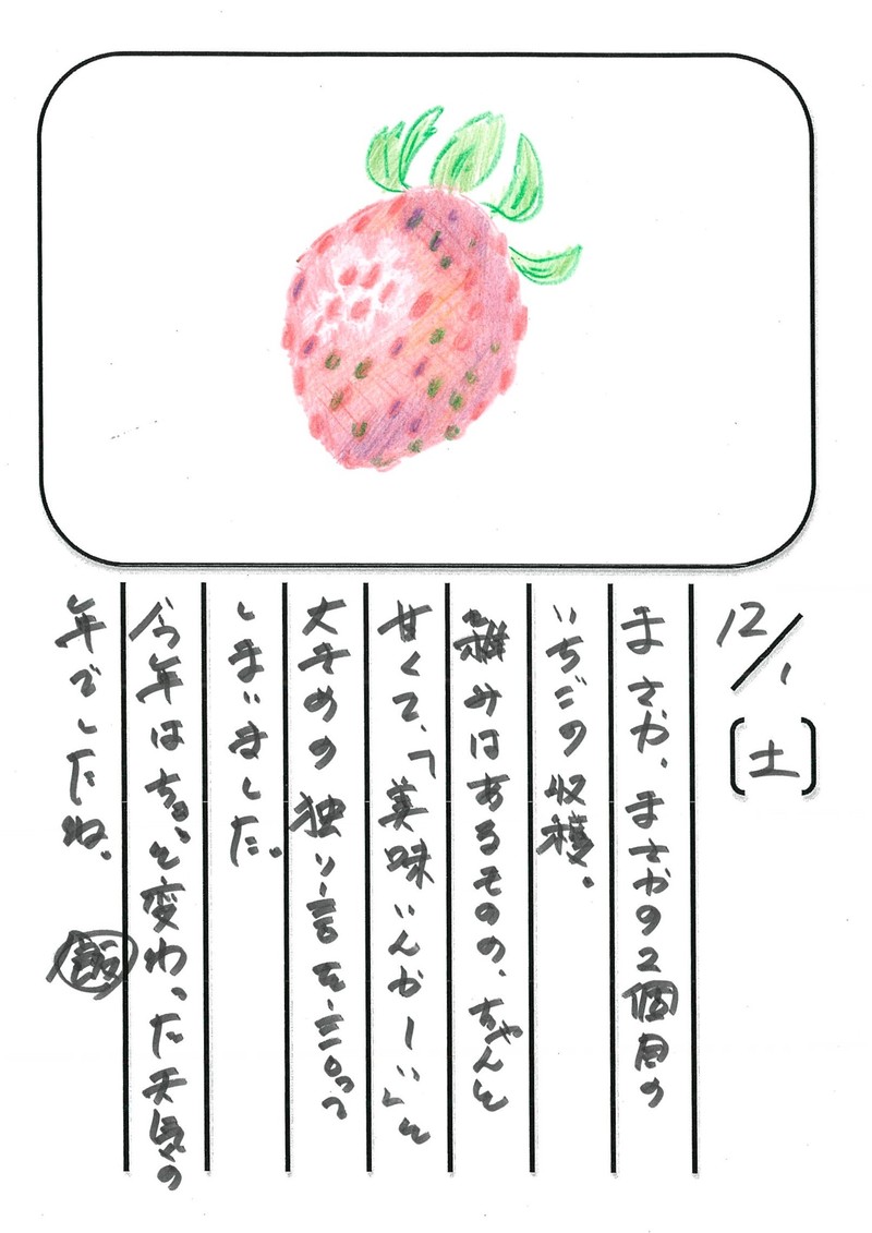 ◇ 飯室菜園日記 vol.31 ◇