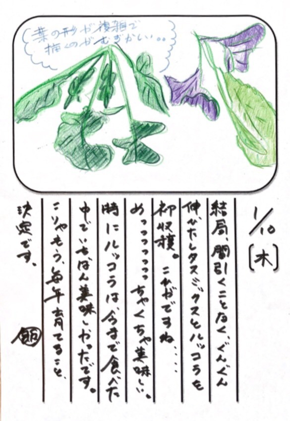 ◇ 飯室菜園日記 vol.35 ◇