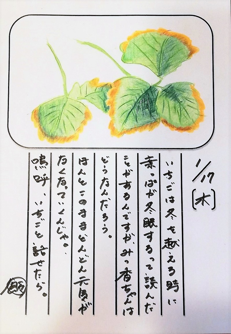 ◇ 飯室菜園日記 vol.36 ◇