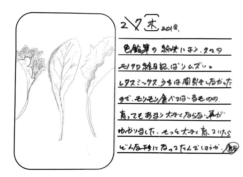 ◇ 飯室菜園日記 vol.39 ◇