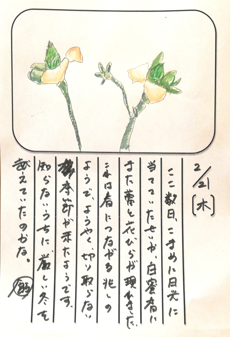 ◇ 飯室菜園日記 vol.41 ◇