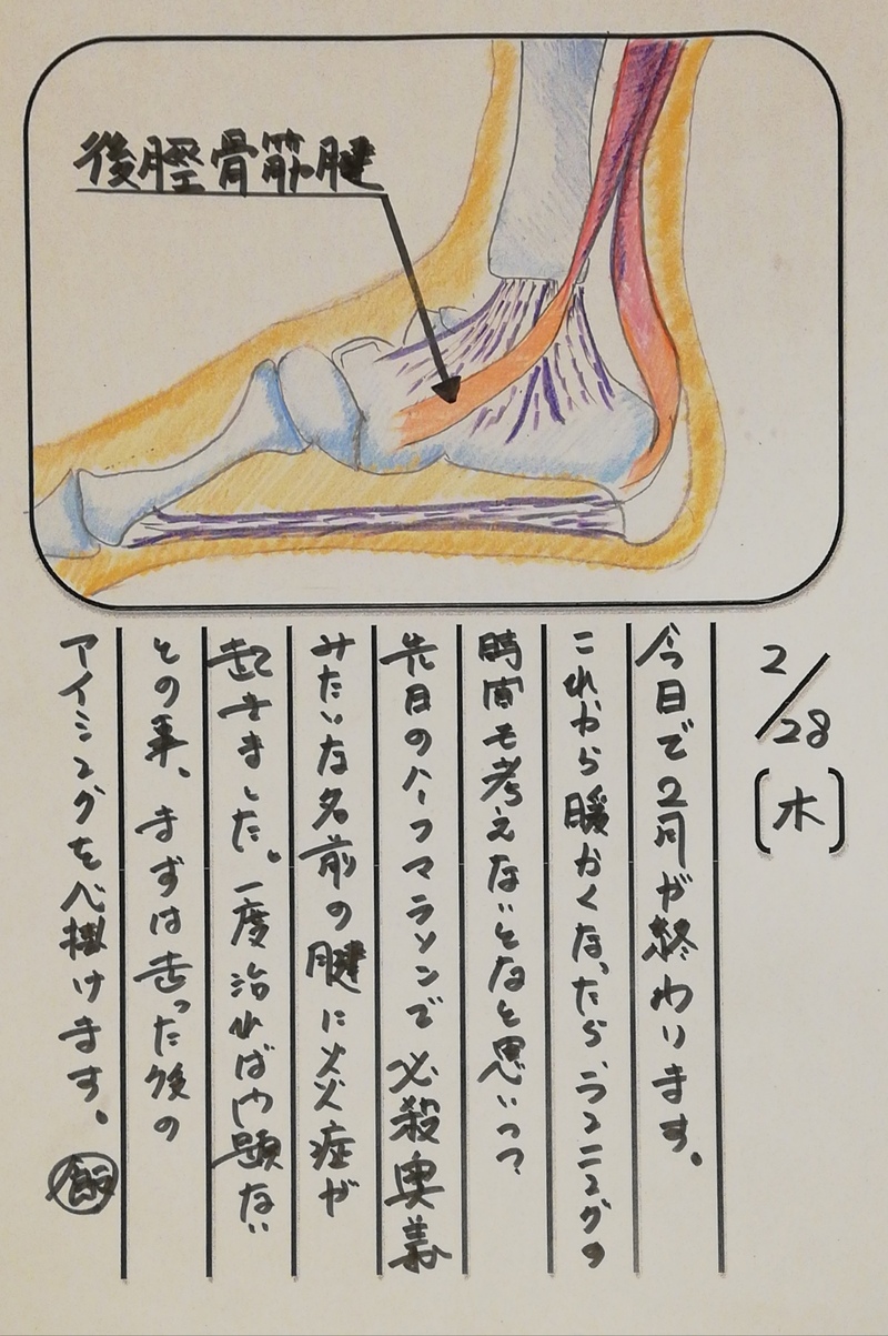 ◇ 飯室菜園日記 vol.42 ◇