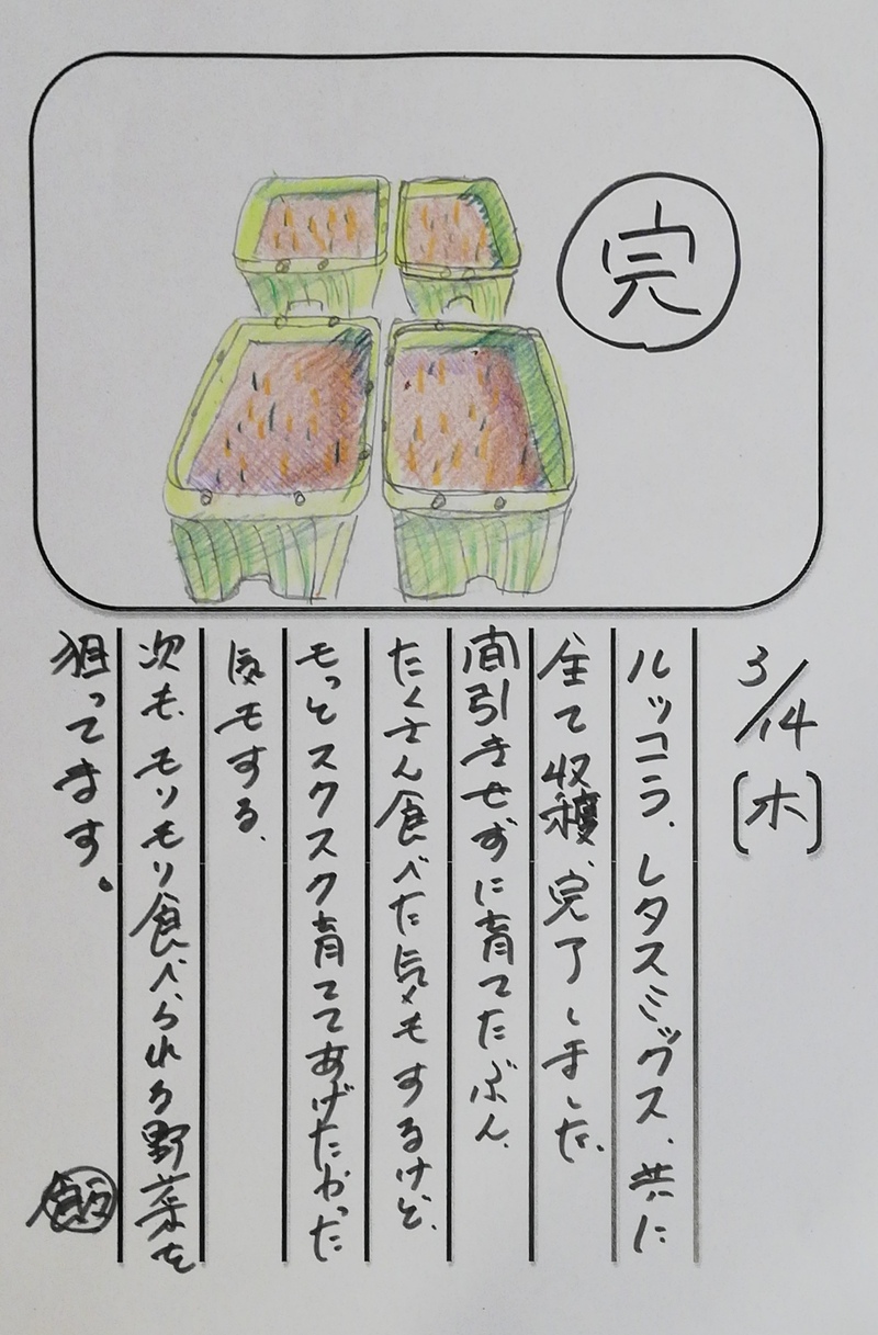 ◇ 飯室菜園日記 vol.43 ◇