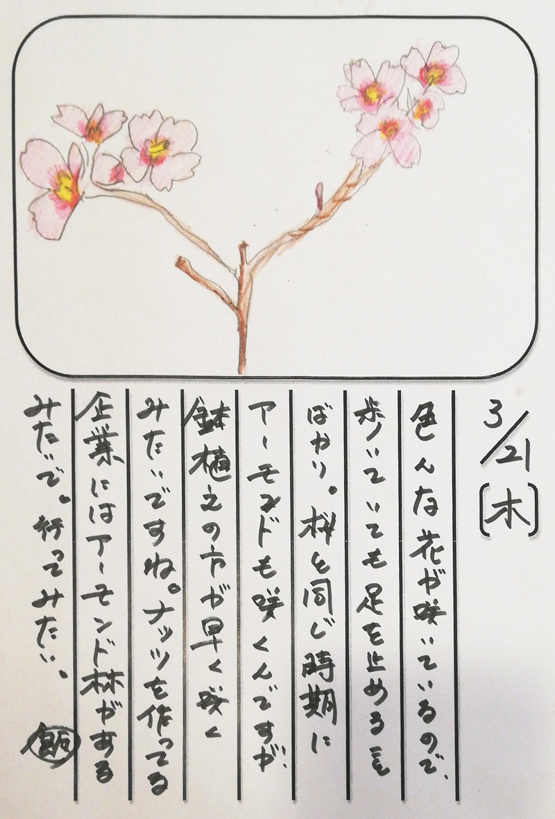 ◇ 飯室菜園日記 vol.44 ◇