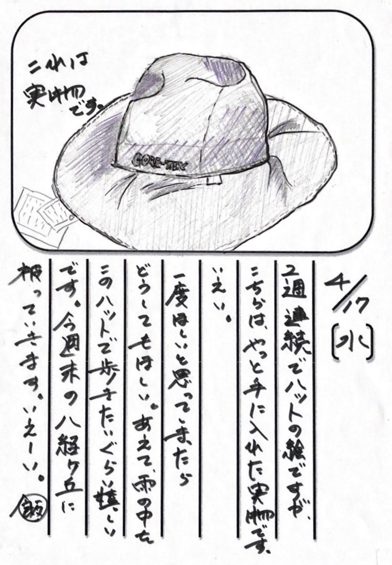 ◇ 飯室菜園日記 vol.48 ◇