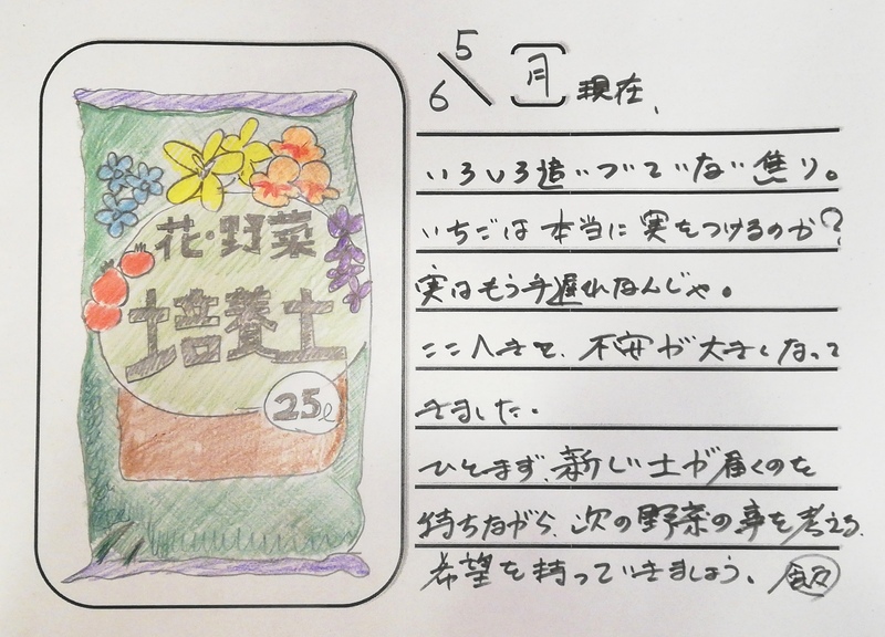 ◇ 飯室菜園日記 vol.50 ◇