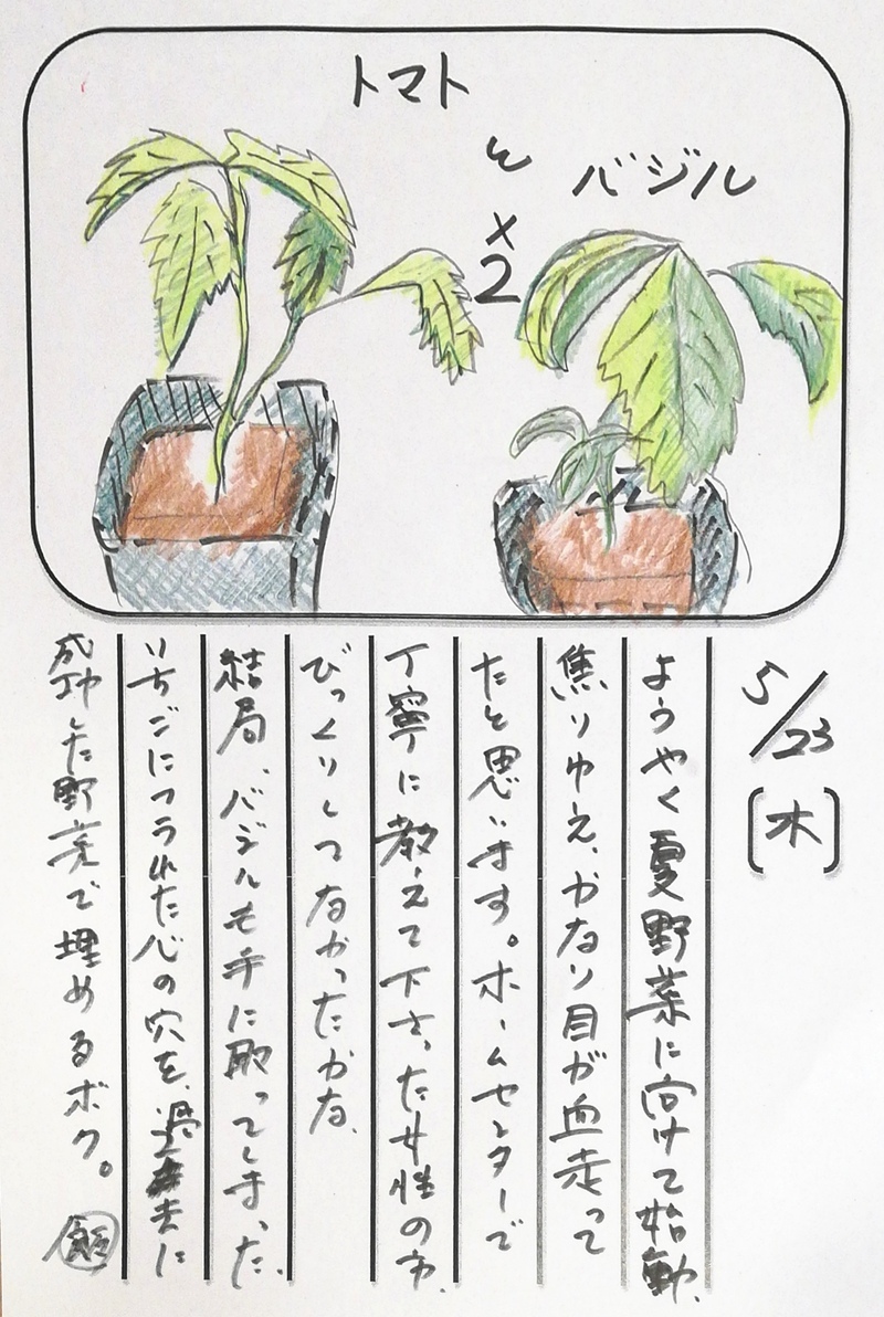 ◇ 飯室菜園日記 vol.52 ◇