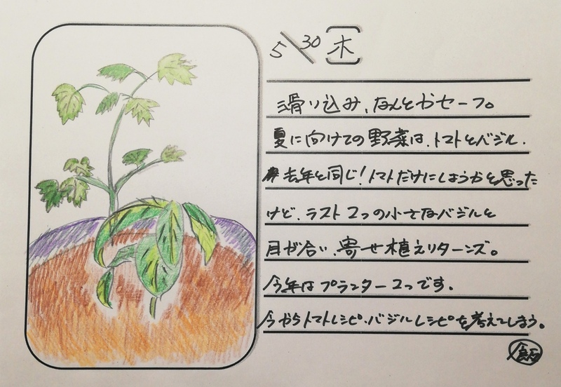 ◇ 飯室菜園日記 vol.53 ◇