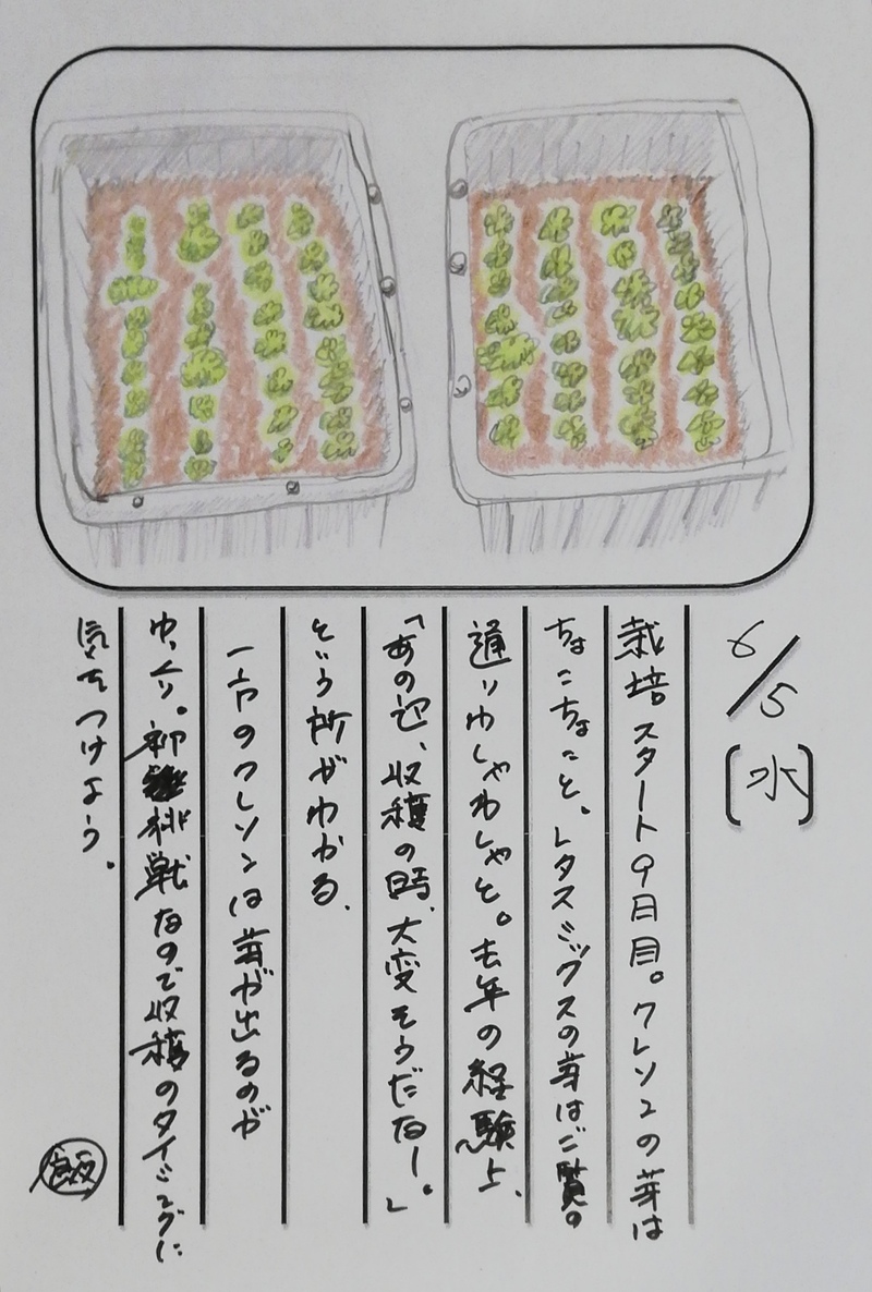 ◇ 飯室菜園日記 vol.54 ◇