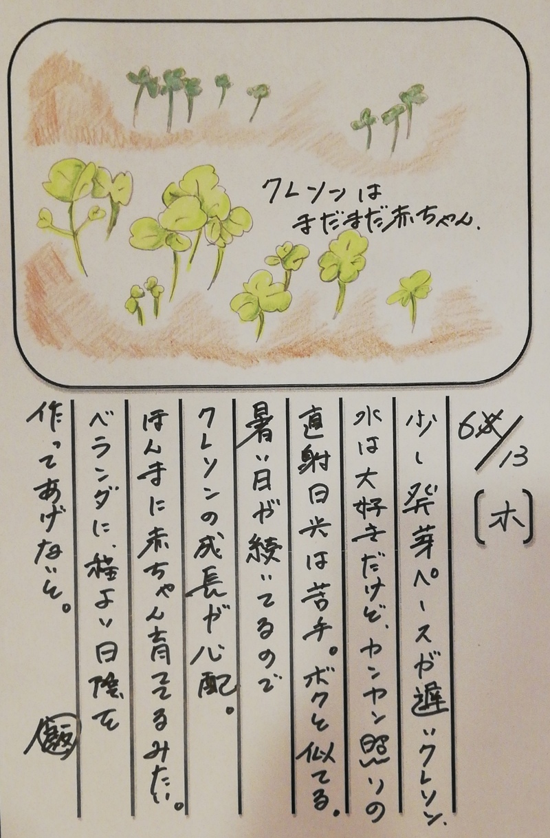◇ 飯室菜園日記 vol.55 ◇