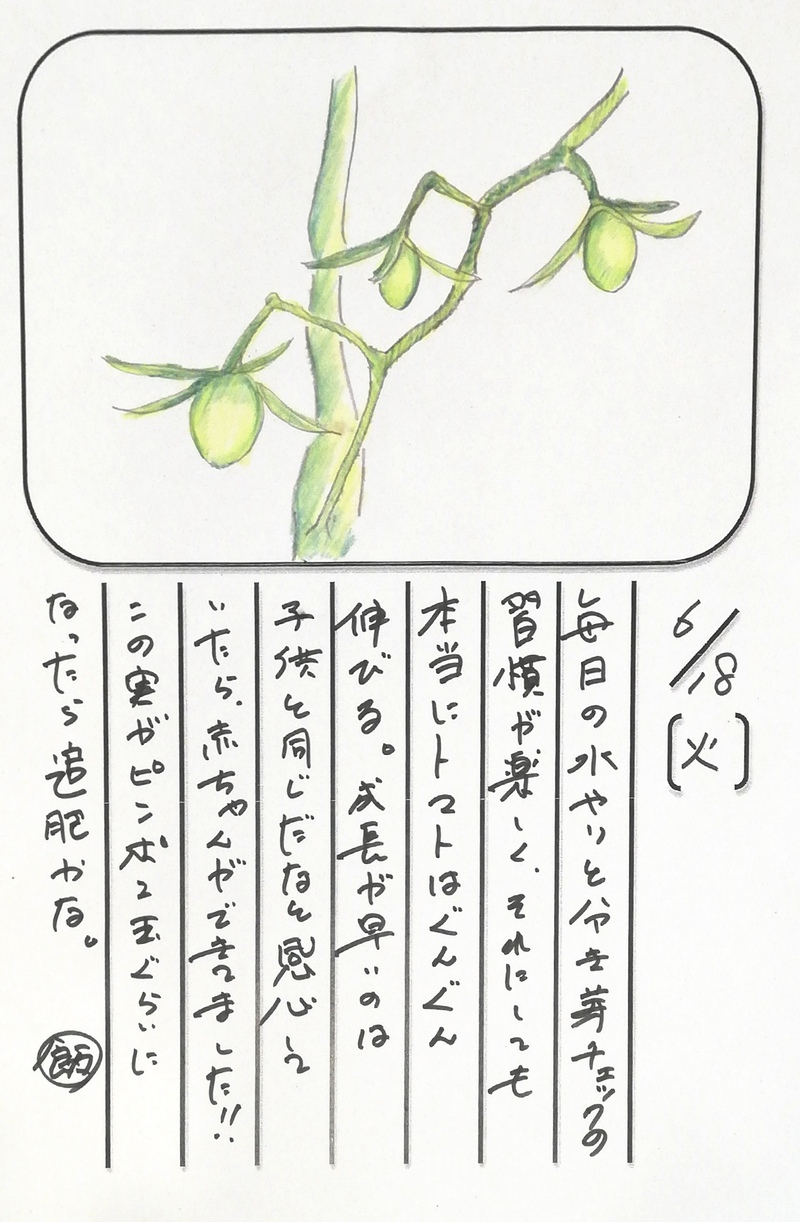 ◇ 飯室菜園日記 vol.56 ◇