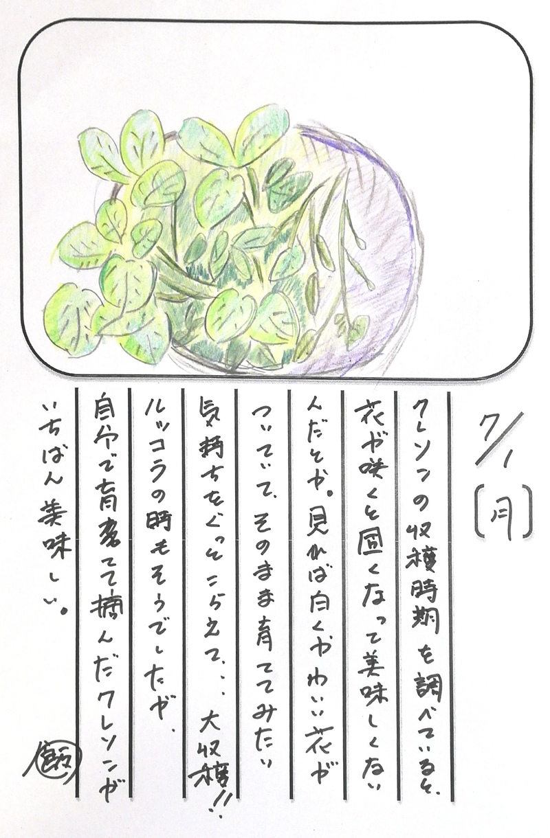 ◇ 飯室菜園日記 vol.58 ◇