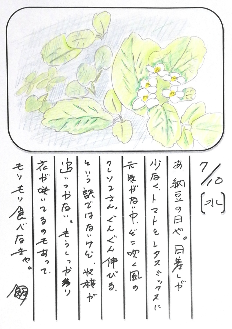 ◇ 飯室菜園日記 vol.59 ◇