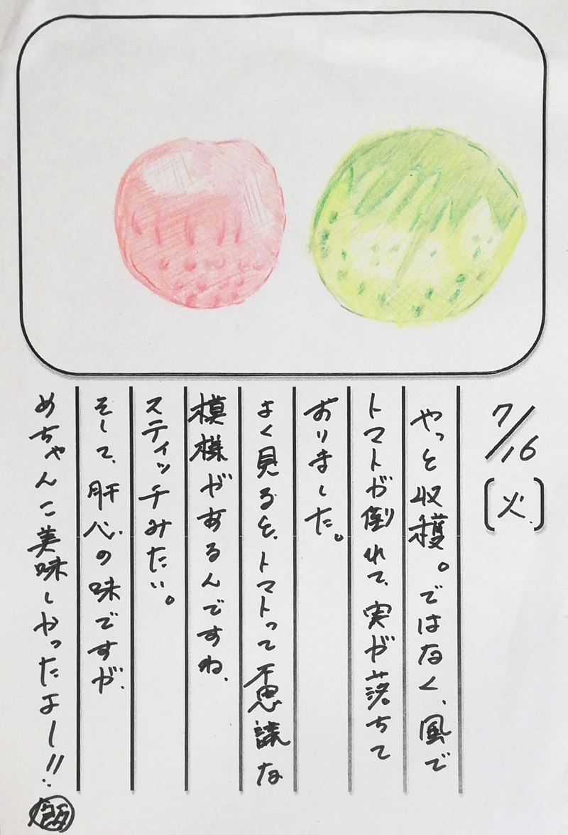 ◇ 飯室菜園日記 vol.60 ◇