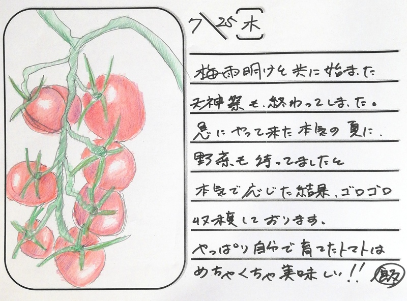 ◇ 飯室菜園日記 vol.61 ◇