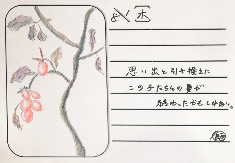 ◇ 飯室菜園日記 vol.62 ◇