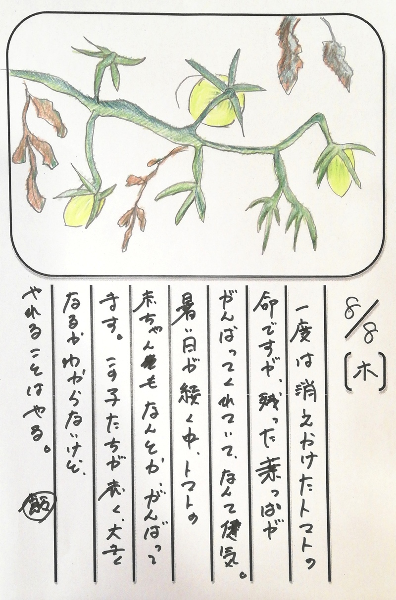 ◇ 飯室菜園日記 vol.63 ◇