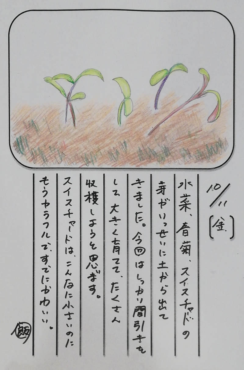 ◇ 飯室菜園日記 vol.69 ◇