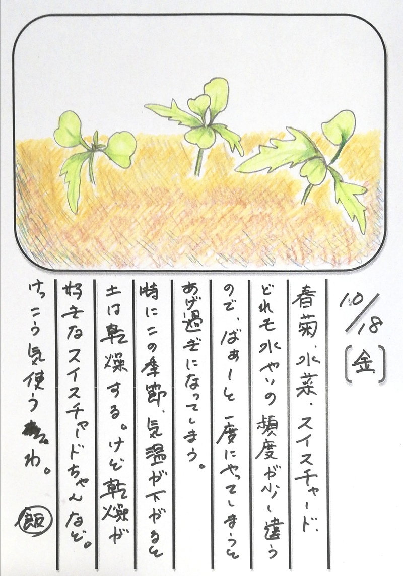 ◇ 飯室菜園日記 vol.70 ◇