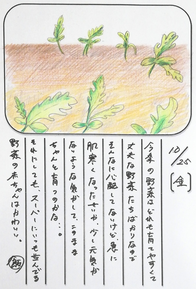 ◇ 飯室菜園日記 vol.71 ◇