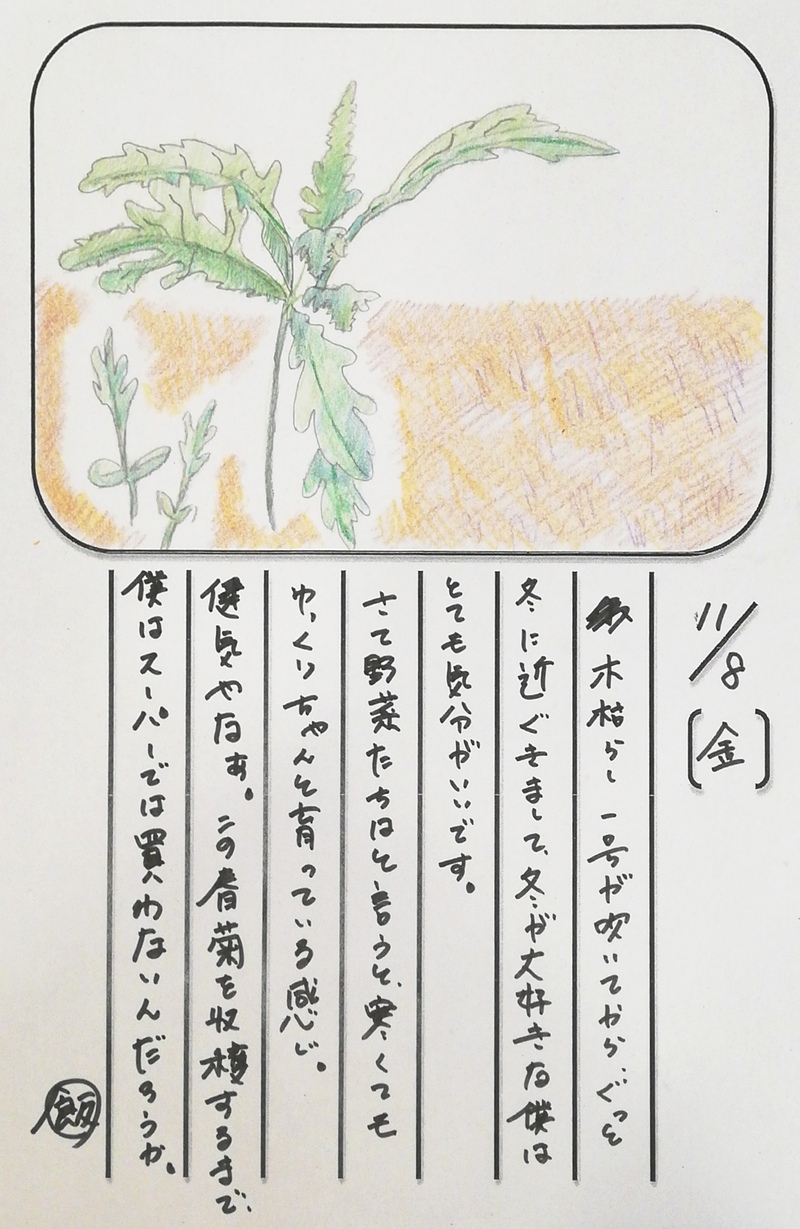 ◇ 飯室菜園日記 vol.73 ◇