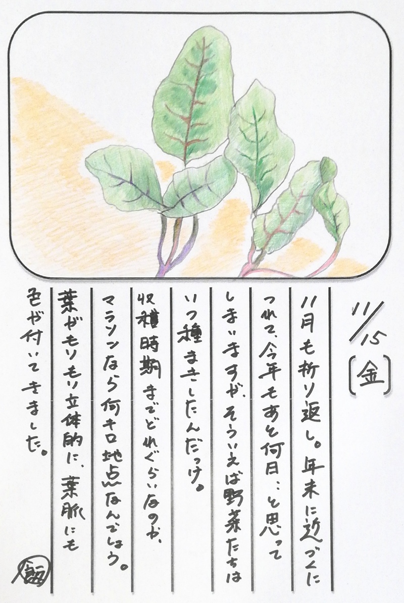 ◇ 飯室菜園日記 vol.74 ◇