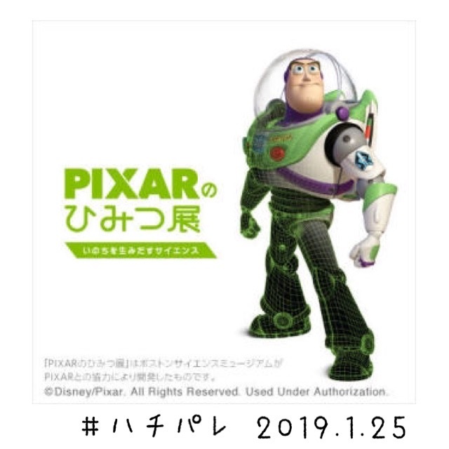 #ハチパレ ▽ Colorful Connect【 PIXIRのひみつ展 いのちを生みだすサイエンス 】