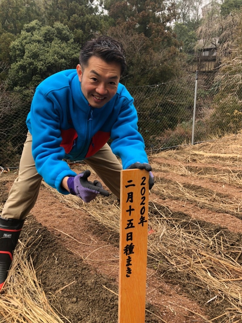 Daiwa Sakura Aid 