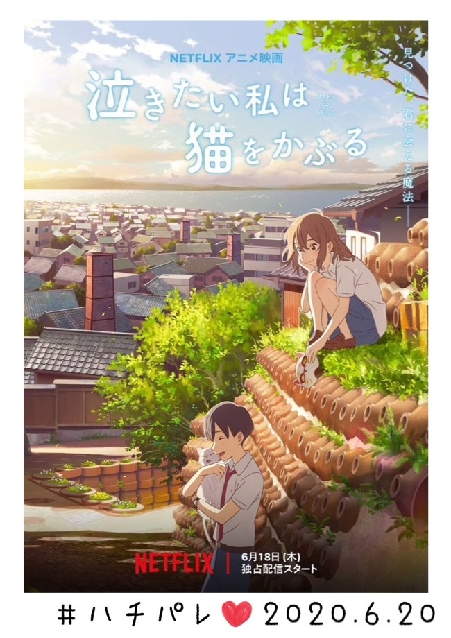 #ハチパレ ▽ Colorful Connect【 映画『泣きたい私は猫をかぶる』】