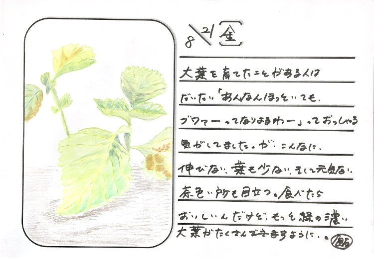 ◇ 2020/08/21 #Map802 飯室絵日記 vol.112 ◇