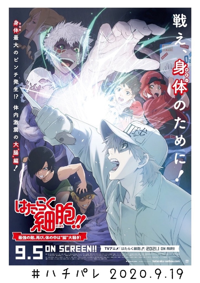 #ハチパレ ▽ Colorful Connect【「はたらく細胞!!」最強の敵、再び。体の中は“腸”大騒ぎ！ 】