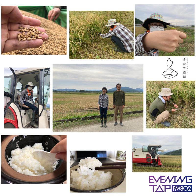 ☆コマキ手帖:テーマ「おいしいお米」　#802TAP