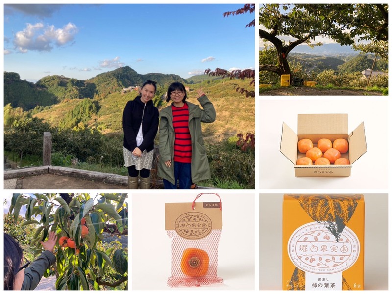 ☆コマキ手帖:テーマ「おいしい柿」　#802TAP