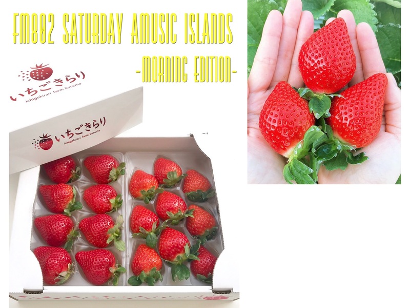 ファミリーニュース大募集！あまおうと旬のいちご詰め合わせプレゼント！ #起きたら802