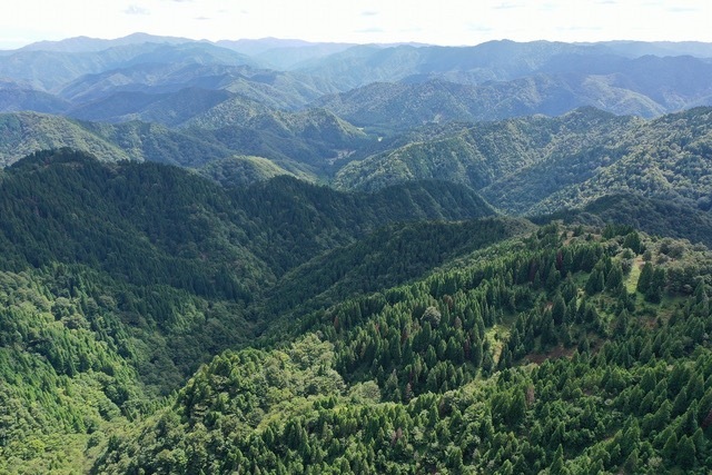 ＜赤い風船 週末かとりっぷ「JRセットプランCarbon-Zero」＞