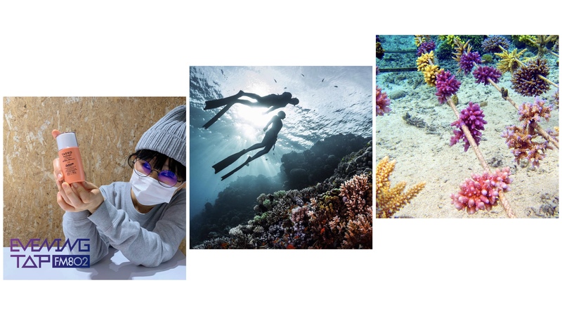 ＊よつ葉ホームデリバリー コマキ手帖：「アーダブレーンの日焼け止め」＊ #802TAP