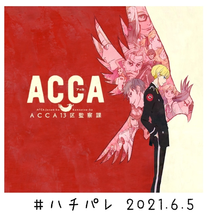 #ハチパレ ▽ Colorful Connect【 ACCA13区監察課 】