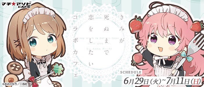 #ハチパレ ▽ Colorful Connect【 「きみが死ぬまで恋をしたい」コラボカフェ 】